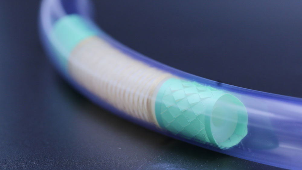 a tiny tube with another teal tube with scales inside