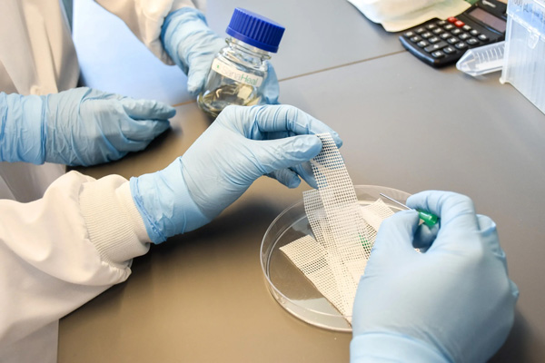 Gloved hands work with a new type of tape-like gauze